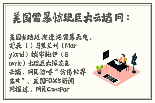 雷电将军腿法娴熟脚法图片
